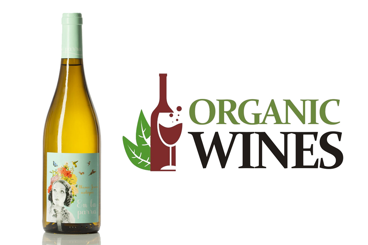 Read more about the article Degustace bio vín – vánoční inspirace