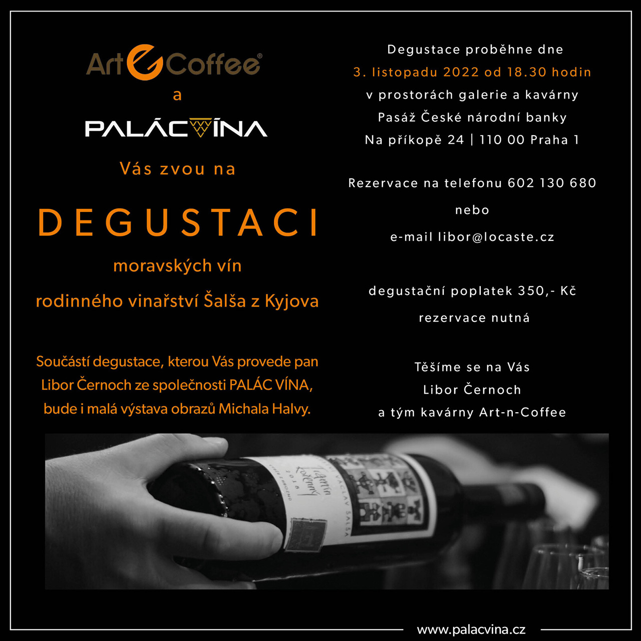 Degustace vinařství Šalša a obrazy Michala Halvy