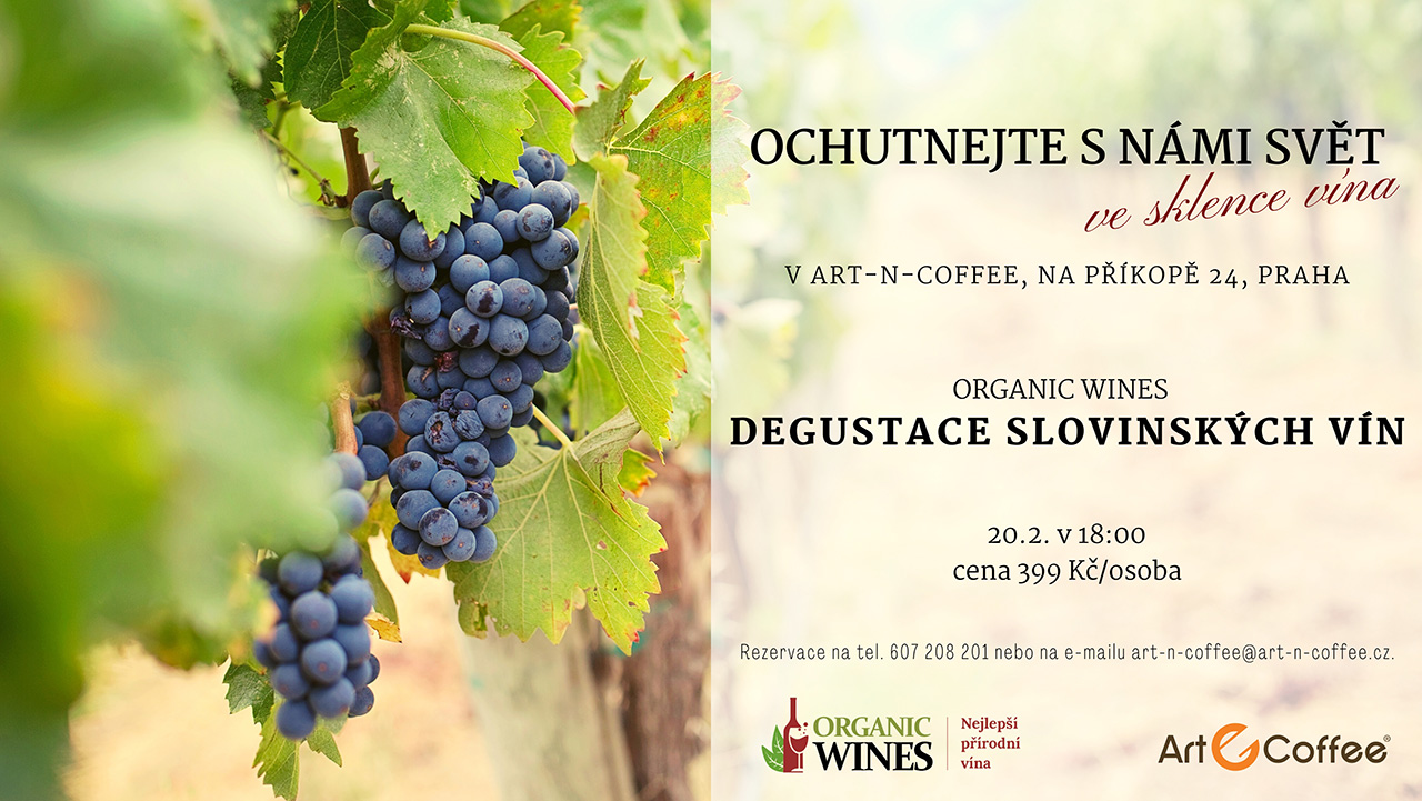 Degustace sloviských vín v Art-n-Coffee - 20. 2. 2023