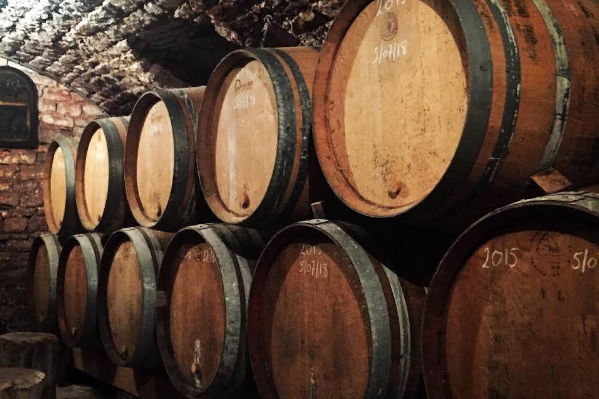 Read more about the article Degustace francouzských vín s příchutí slunce v Art-n-Coffee