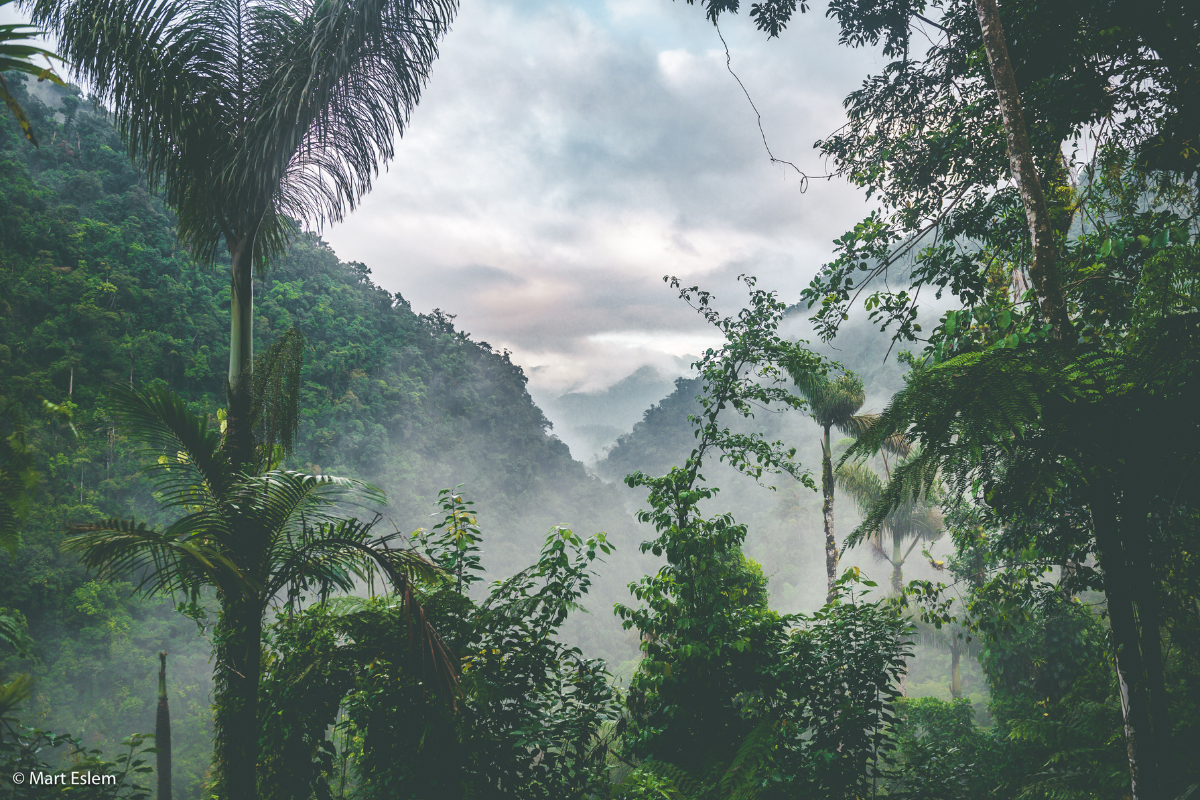 Read more about the article Travelshow Kolumbie v Art-n-Coffee